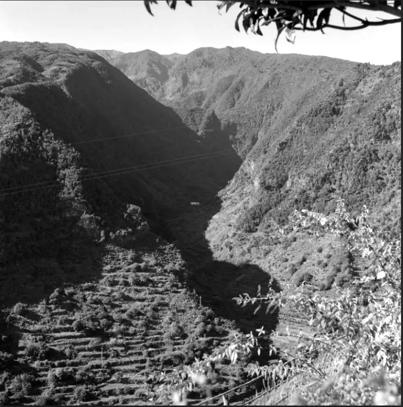 Barranco de Los Galguitos